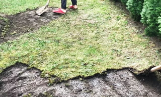 Снятие дерна старого газона в Апатитах – от 529 руб. | 2Землекопа-Птт